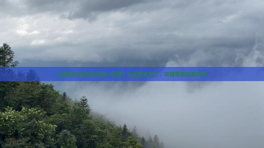 山南去北京天坛公园一日游？上班族太累了，求推荐放松新方式