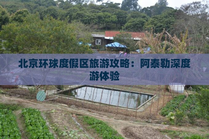 北京环球度假区旅游攻略：阿泰勒深度游体验
