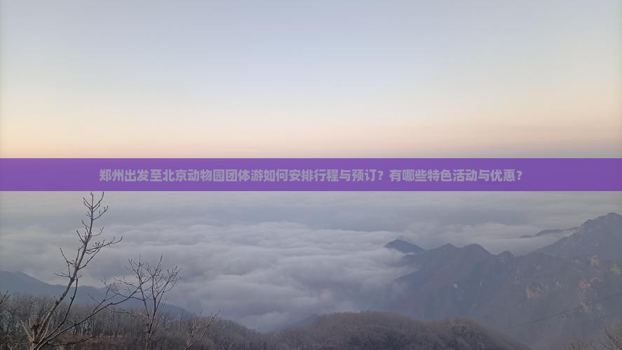 郑州出发至北京动物园团体游如何安排行程与预订？有哪些特色活动与优惠？