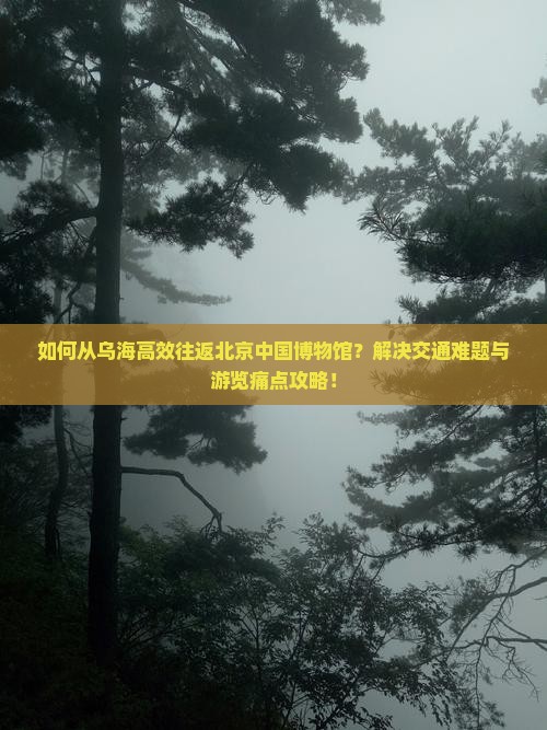 如何从乌海高效往返北京中国博物馆？解决交通难题与游览痛点攻略！