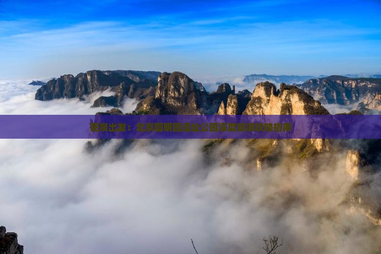 阳泉出发：北京圆明园遗址公园深度旅游攻略指南