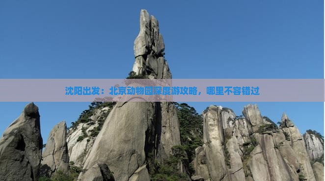 沈阳出发：北京动物园深度游攻略，哪里不容错过