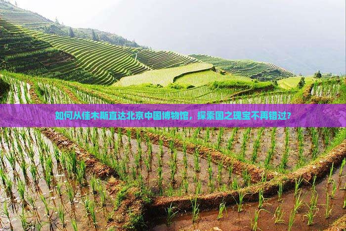如何从佳木斯直达北京中国博物馆，探索国之瑰宝不再错过？