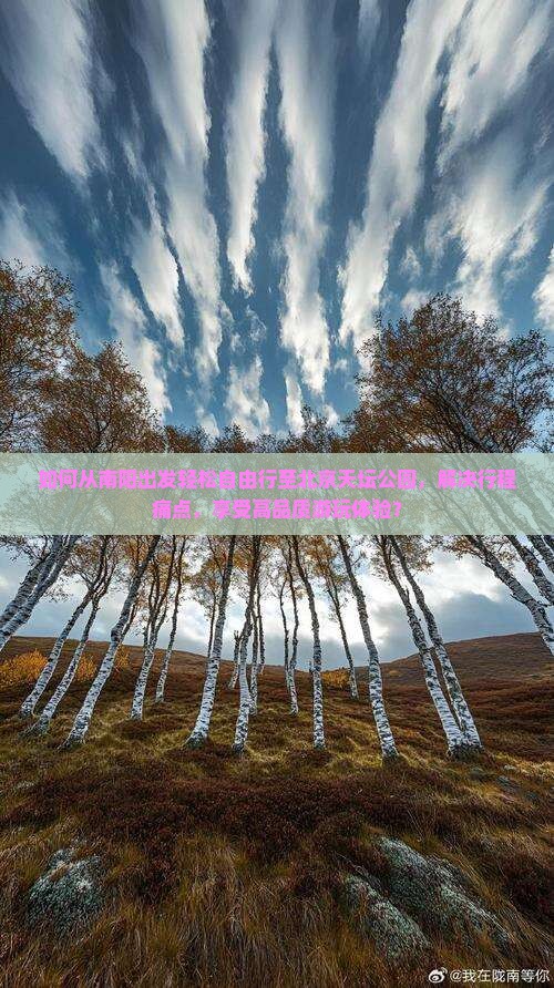 如何从南阳出发轻松自由行至北京天坛公园，解决行程痛点，享受高品质游玩体验？