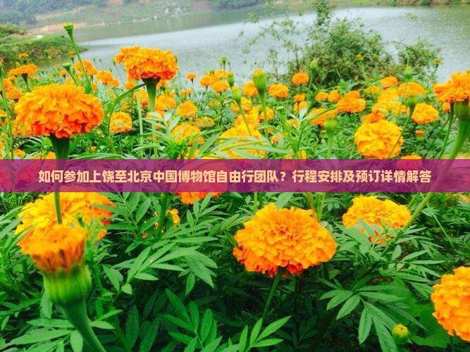 如何参加上饶至北京中国博物馆自由行团队？行程安排及预订详情解答