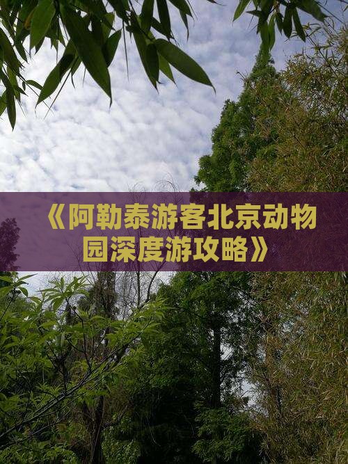 《阿勒泰游客北京动物园深度游攻略》