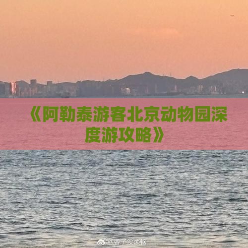 《阿勒泰游客北京动物园深度游攻略》