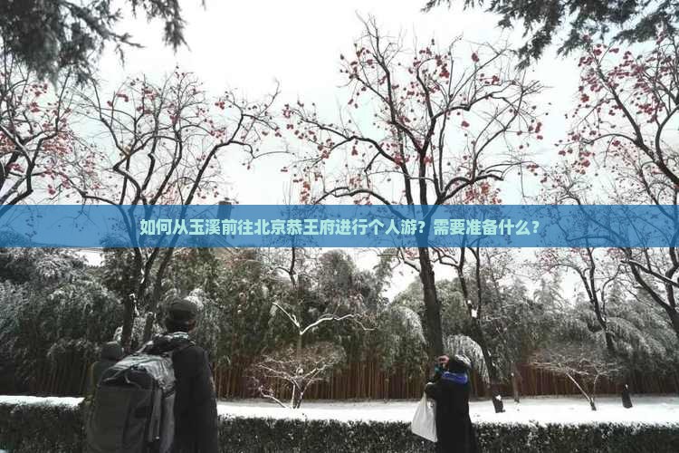 如何从玉溪前往北京恭王府进行个人游？需要准备什么？