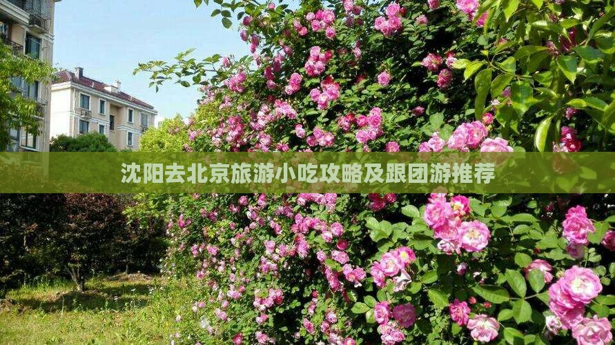 沈阳去北京旅游小吃攻略及跟团游推荐