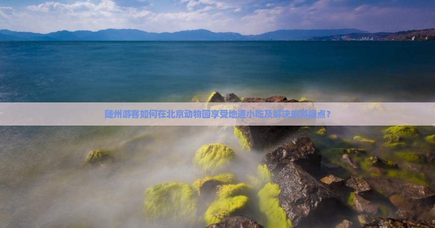 随州游客如何在北京动物园享受地道小吃及解决旅游痛点？