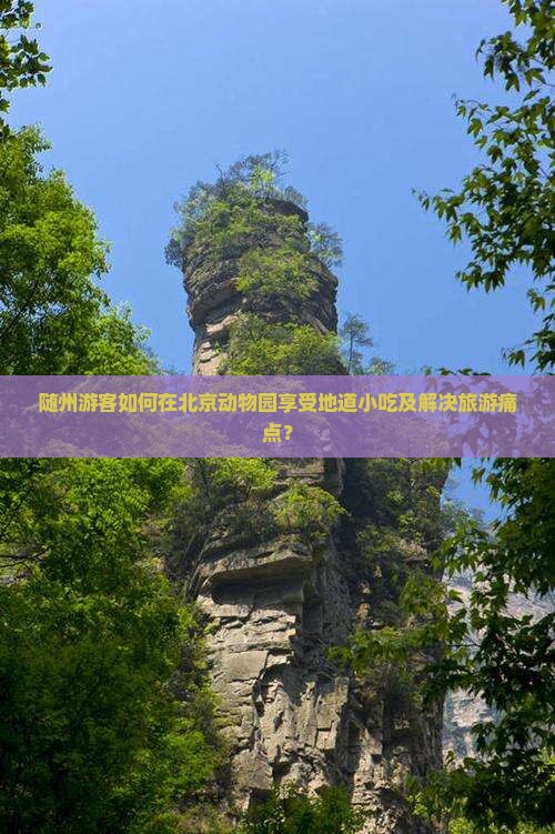 随州游客如何在北京动物园享受地道小吃及解决旅游痛点？