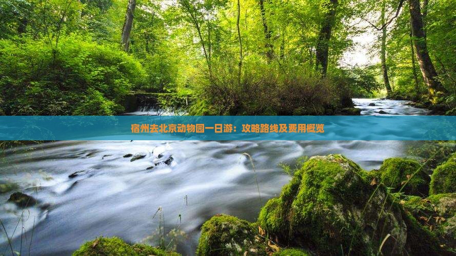 宿州去北京动物园一日游：攻略路线及费用概览