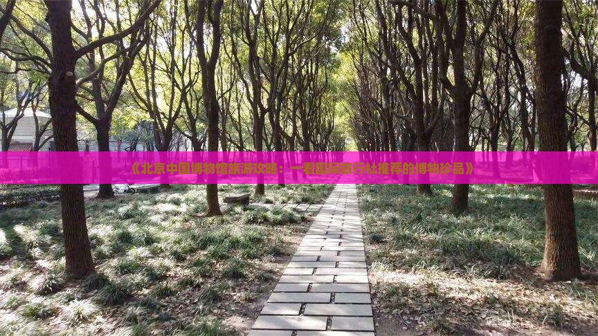 《北京中国博物馆旅游攻略：一看国际旅行社推荐的博物珍品》