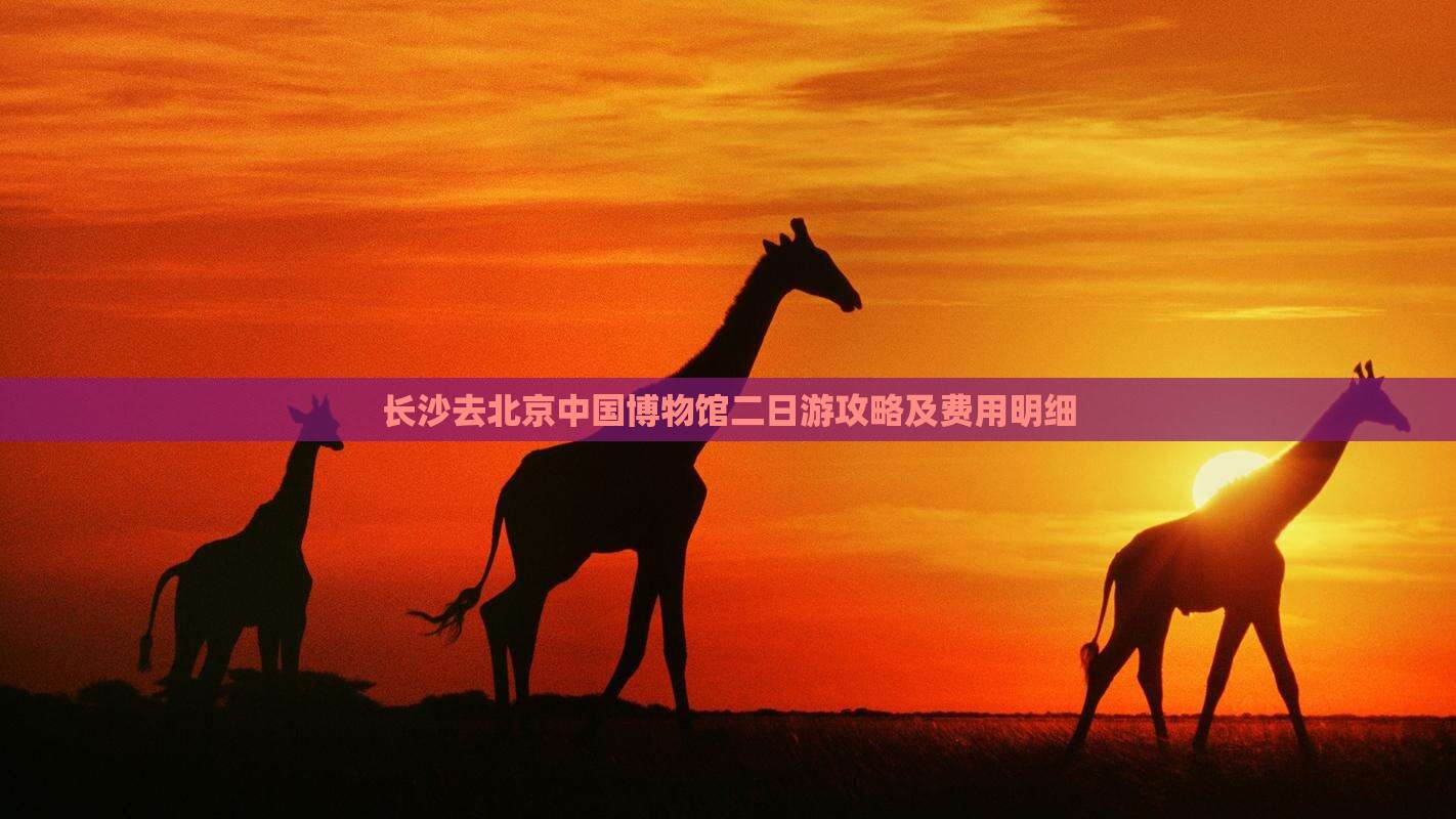长沙去北京中国博物馆二日游攻略及费用明细