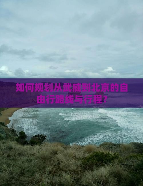 如何规划从武威到北京的自由行路线与行程？