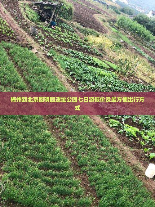 梅州到北京圆明园遗址公园七日游报价及最方便出行方式