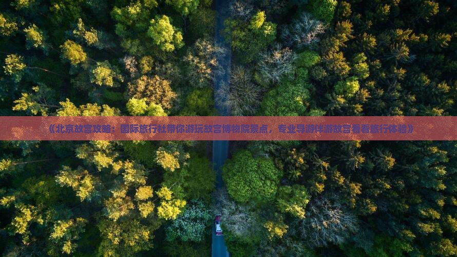 《北京故宫攻略：国际旅行社带你游玩故宫博物院景点，专业导游伴游故宫看看旅行体验》