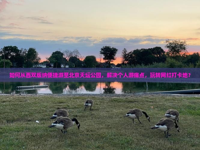 如何从西双版纳便捷游至北京天坛公园，解决个人游痛点，玩转网红打卡地？