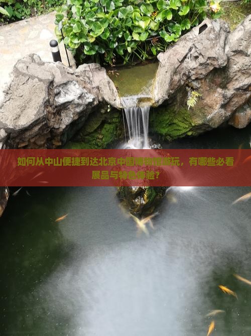如何从中山便捷到达北京中国博物馆游玩，有哪些必看展品与特色体验？