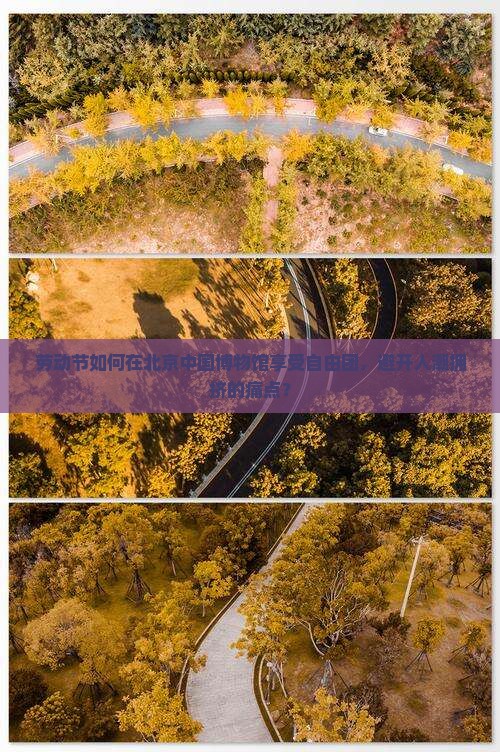 劳动节如何在北京中国博物馆享受自由团，避开人潮拥挤的痛点？