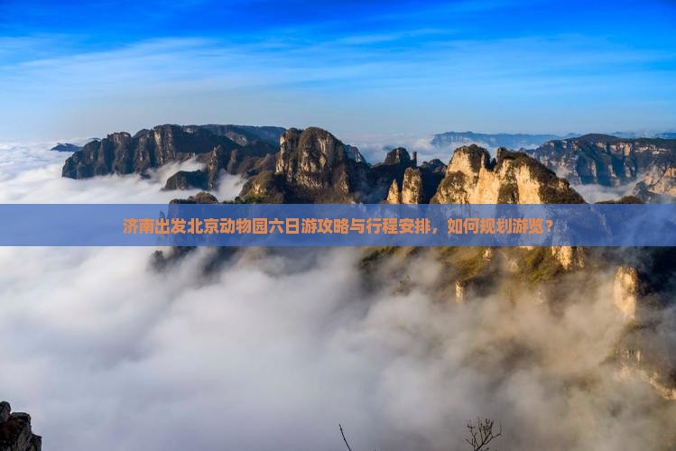 济南出发北京动物园六日游攻略与行程安排，如何规划游览？