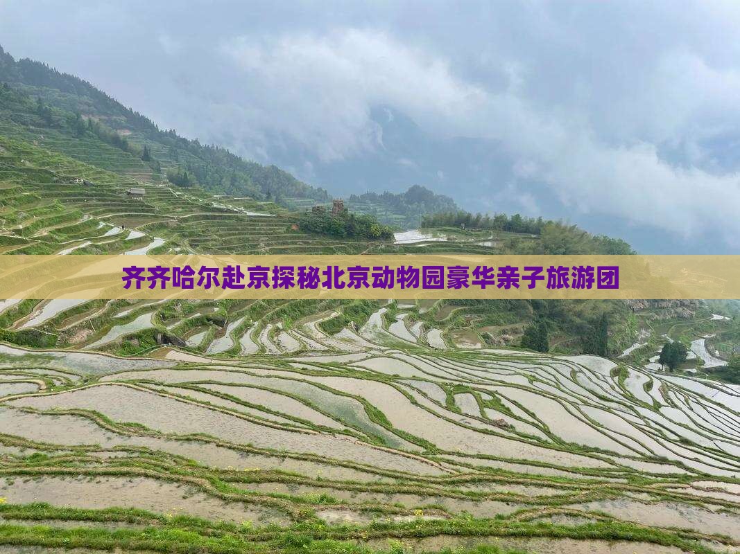 齐齐哈尔赴京探秘北京动物园豪华亲子旅游团