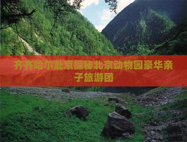 齐齐哈尔赴京探秘北京动物园豪华亲子旅游团