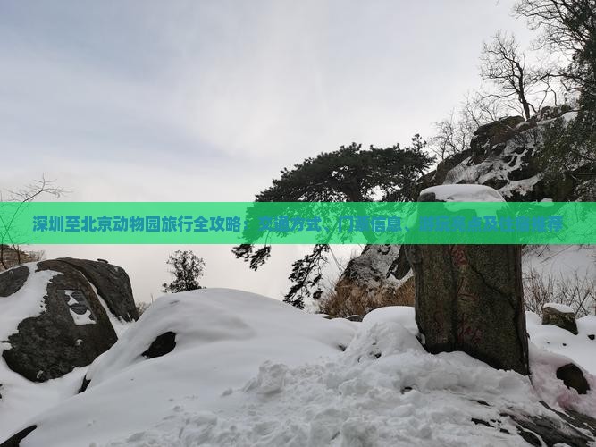 深圳至北京动物园旅行全攻略：交通方式、门票信息、游玩亮点及住宿推荐