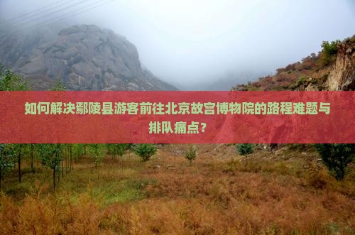 如何解决鄢陵县游客前往北京故宫博物院的路程难题与排队痛点？