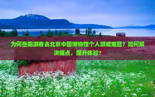 为何岳阳游客去北京中国博物馆个人游成难题？如何解决痛点，提升体验？