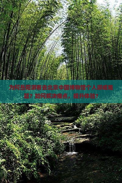 为何岳阳游客去北京中国博物馆个人游成难题？如何解决痛点，提升体验？