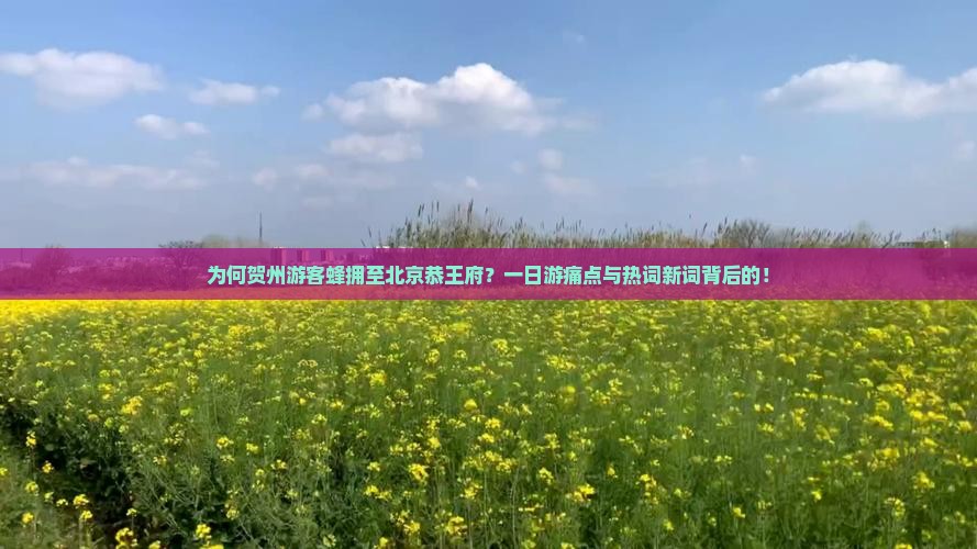 为何贺州游客蜂拥至北京恭王府？一日游痛点与热词新词背后的！