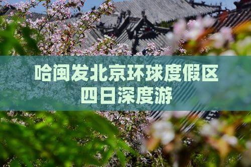 哈闽发北京环球度假区四日深度游