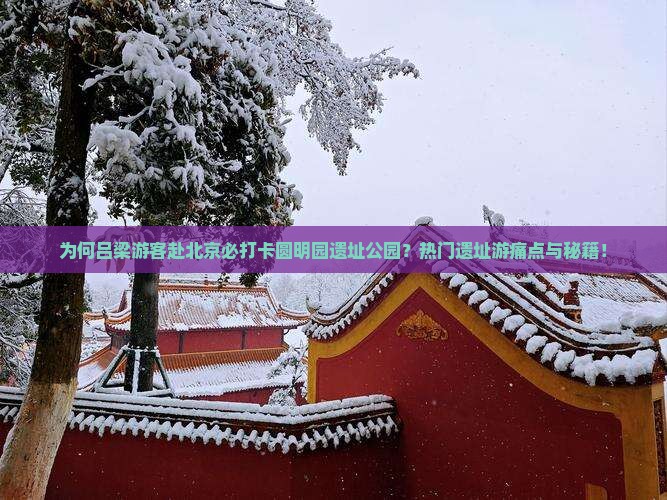 为何吕梁游客赴北京必打卡圆明园遗址公园？热门遗址游痛点与秘籍！