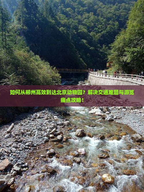 如何从郴州高效到达北京动物园？解决交通难题与游览痛点攻略！