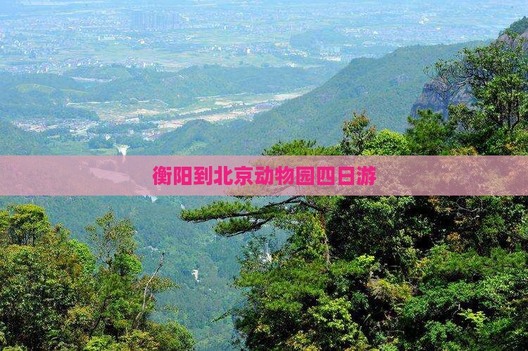 衡阳到北京动物园四日游