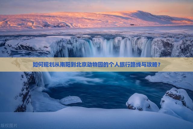 如何规划从南阳到北京动物园的个人旅行路线与攻略？