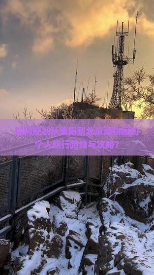 如何规划从南阳到北京动物园的个人旅行路线与攻略？