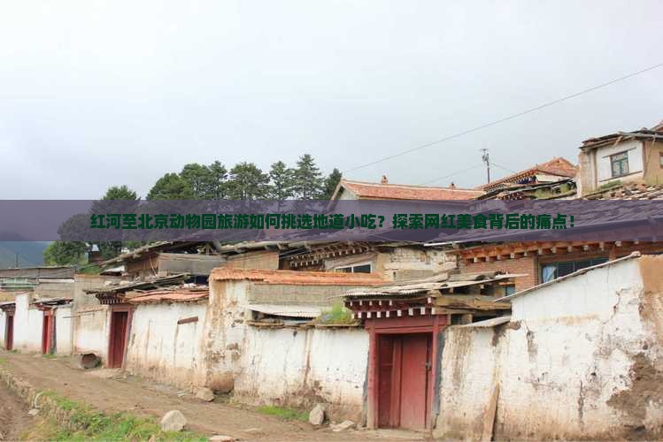 红河至北京动物园旅游如何挑选地道小吃?探索网红美食背后的痛点! 红河至北京动物园旅游如何挑选地道小吃?探索网红美食背后的痛点!