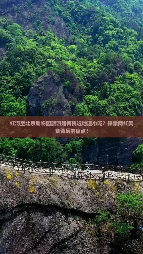 红河至北京动物园旅游如何挑选地道小吃?探索网红美食背后的痛点! 红河至北京动物园旅游如何挑选地道小吃?探索网红美食背后的痛点!