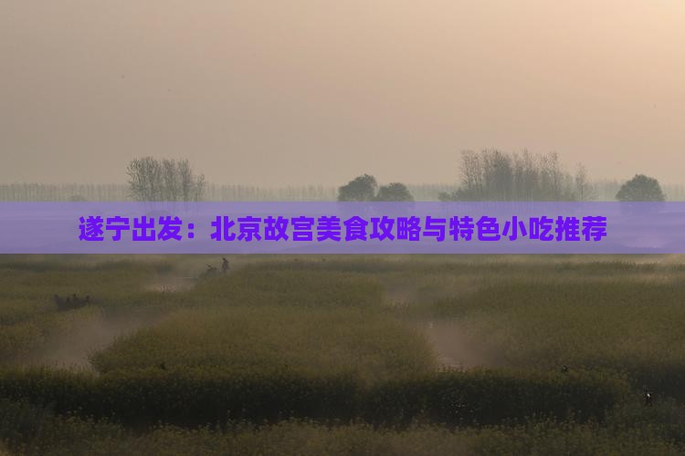 遂宁出发:北京故宫美食攻略与特色小吃推荐 遂宁出发:北京故宫美食攻略与特色小吃推荐