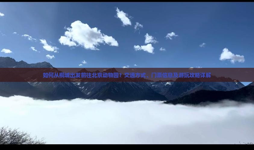 如何从桐城出发前往北京动物园？交通方式、门票信息及游玩攻略详解