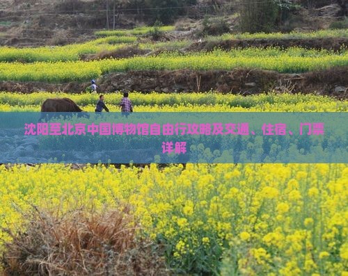 沈阳至北京中国博物馆自由行攻略及交通、住宿、门票详解