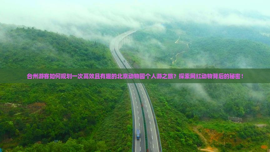 台州游客如何规划一次高效且有趣的北京动物园个人游之旅？探索网红动物背后的秘密！