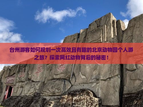 台州游客如何规划一次高效且有趣的北京动物园个人游之旅？探索网红动物背后的秘密！