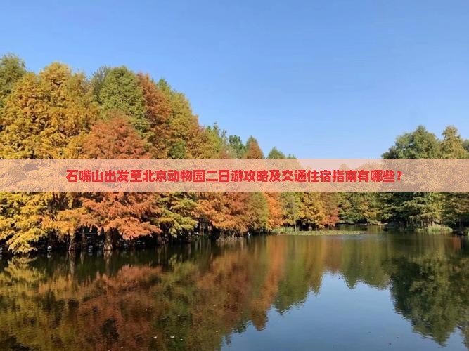 石嘴山出发至北京动物园二日游攻略及交通住宿指南有哪些？