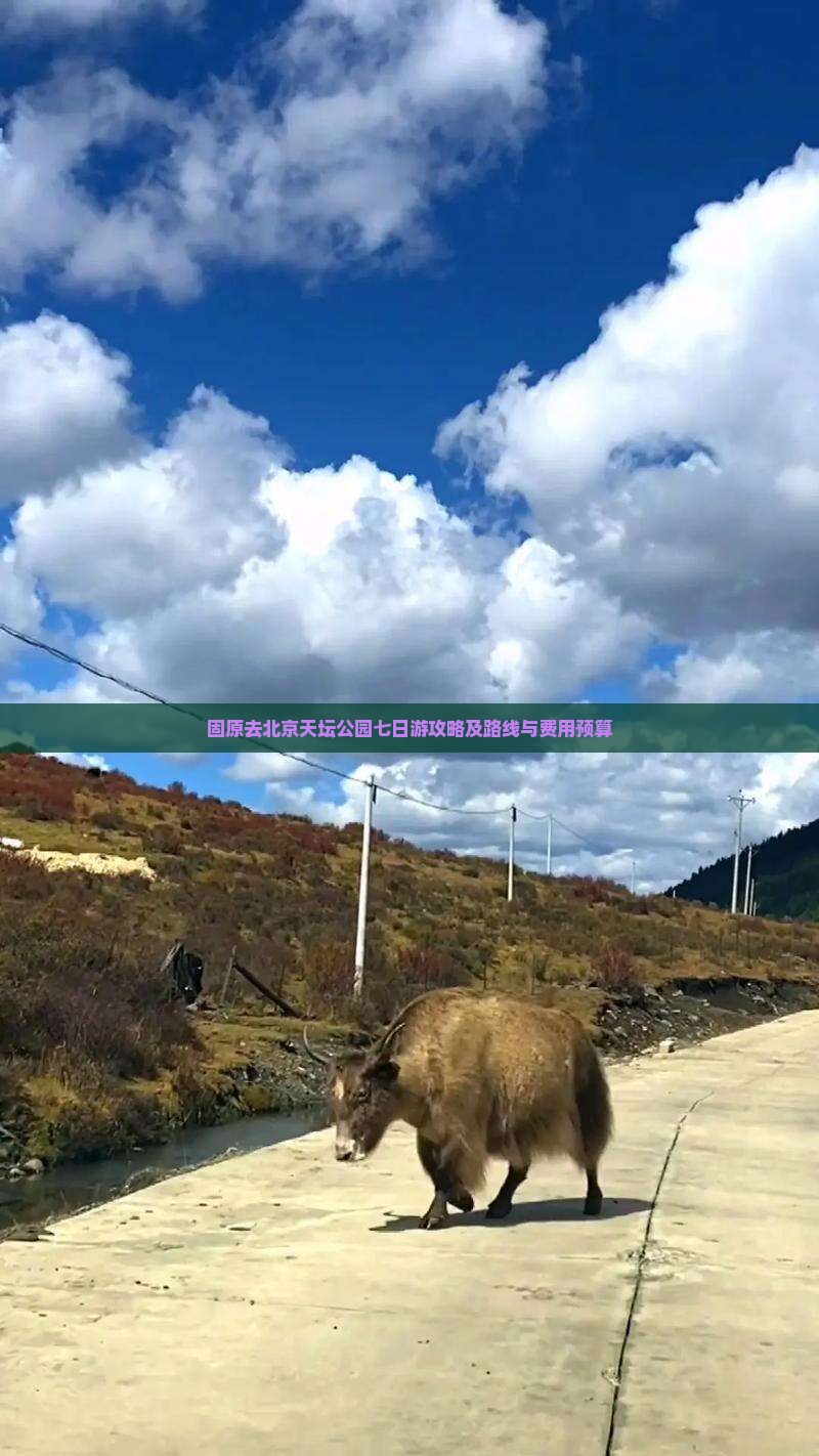 固原去北京天坛公园七日游攻略及路线与费用预算