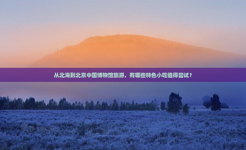 从北海到北京中国博物馆旅游，有哪些特色小吃值得尝试？