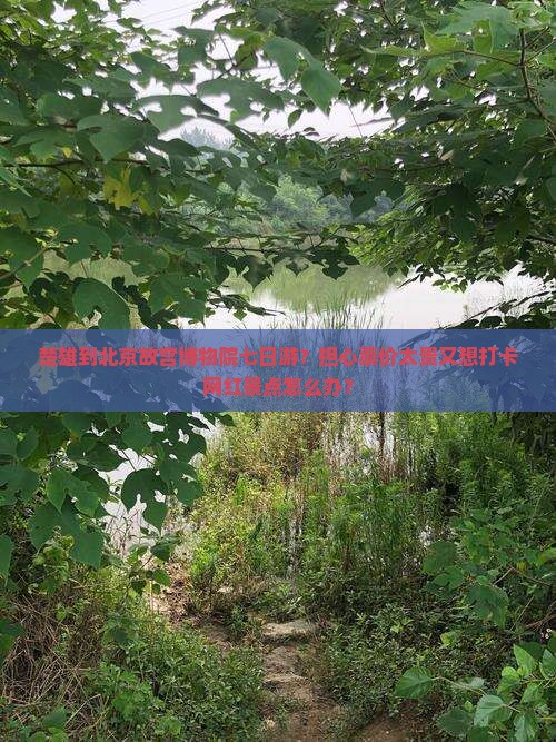 楚雄到北京故宫博物院七日游？担心票价太贵又想打卡网红景点怎么办？