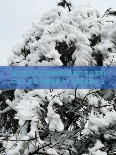昌吉到北京故宫博物院自由行怎么安排行程？费用大概是多少？需要注意什么？